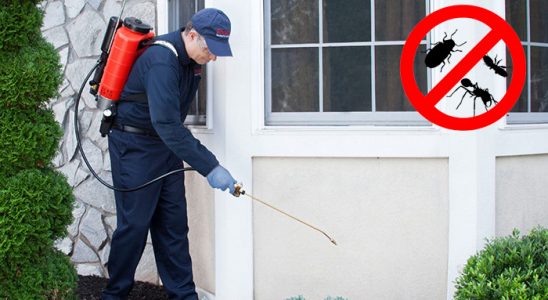 Afşin Bit İlaçlama böcek ilaçlama ve haşere kontrolü — ilaclama-tr.com